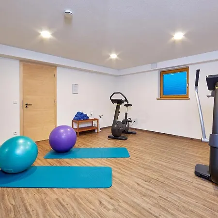 Apartament Alpinissimo *